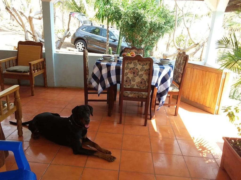 El Zonte Hills