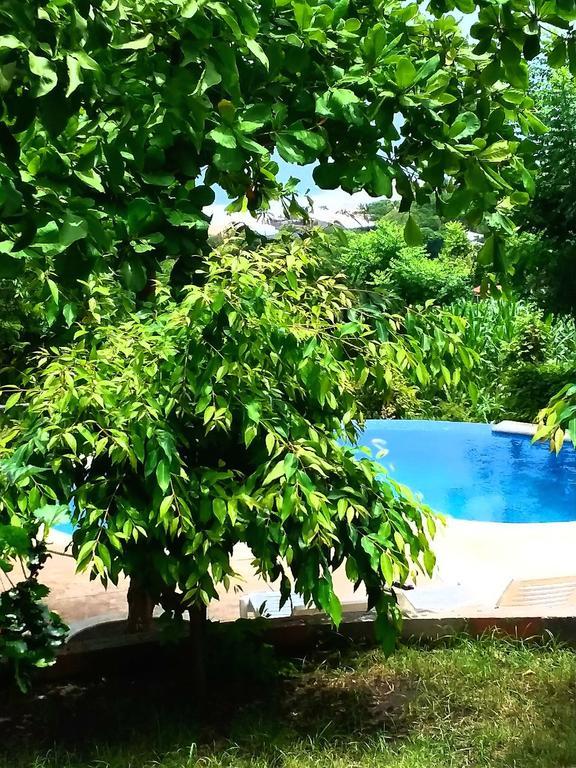 El Zonte Hills Affittacamere San Salvador