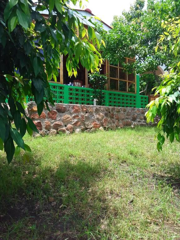 El Zonte Hills * San Salvador